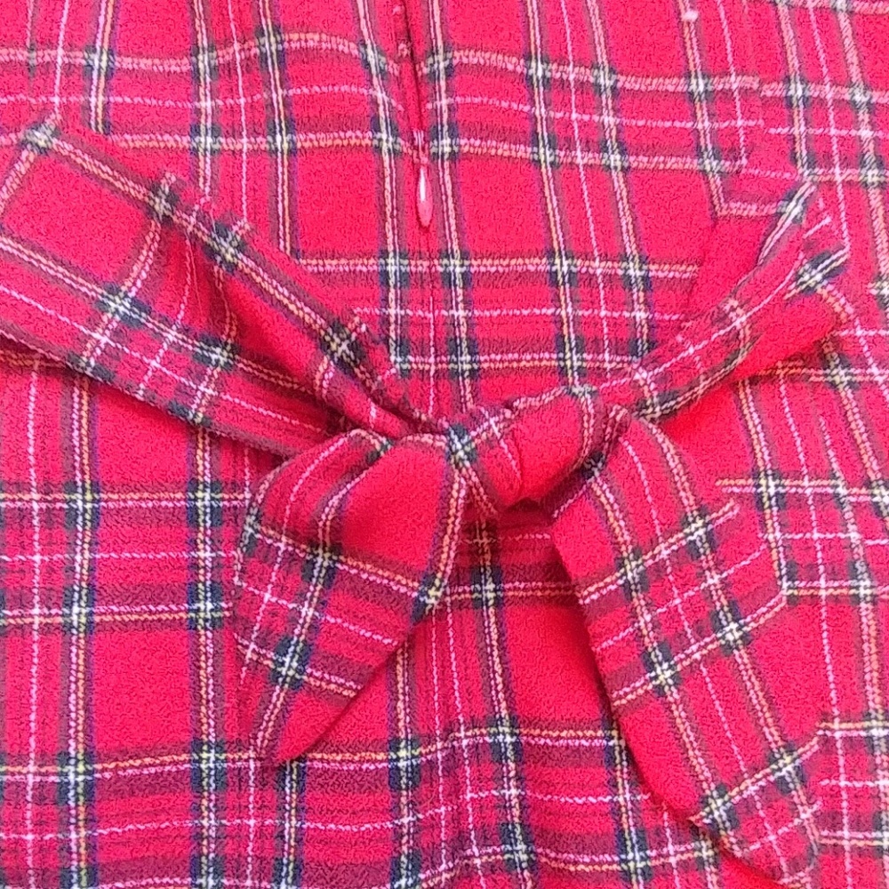 Vintage Red Plaid dress - Picture 5 of 5
